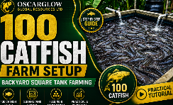 100 Catfish Farm Setup Tutorial | Backyard Square Tank Fish Farming